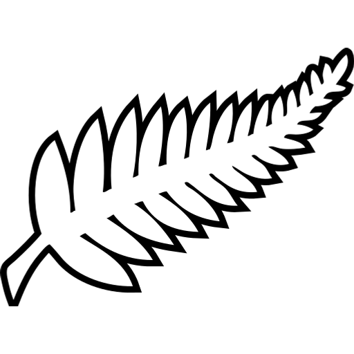 New Zealand national team logo